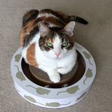 Entry image for Madeline