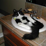 Entry image for Eddie