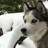 Entry image for Baby