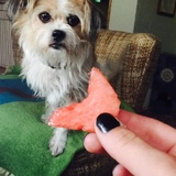 Entry image for Seamus