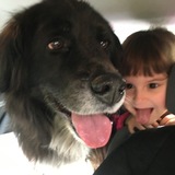 Entry image for Ellie