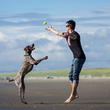 Entry image for Copper