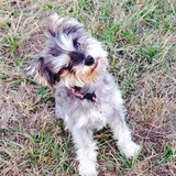 Entry image for Winnie