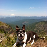 Entry image for Tuti