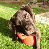 Entry image for Porter