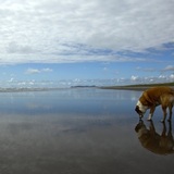 Entry image for Paige