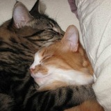 Entry image for Wesley & Ginger