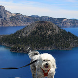 Entry image for Harry 