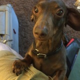 Entry image for Miles