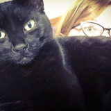 Entry image for Luna