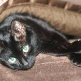 Entry image for Tabitha Bastian