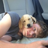 Entry image for Bailey