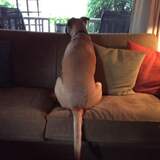 Entry image for Memphis