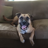 Entry image for Memphis