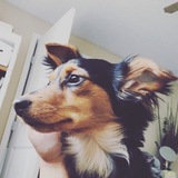 Entry image for MILO