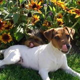 Entry image for Maverick & Sadie