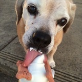 Entry image for Mighty Dog