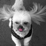 Entry image for Lola