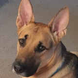 Entry image for Mr. Max