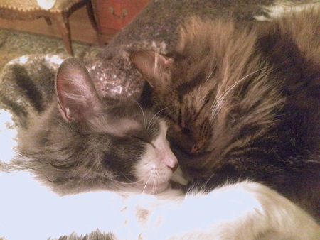 Entry image for Oliver and Bug. Clicking this image will show a larger photo