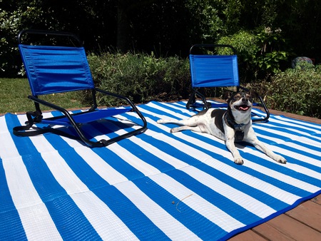 Entry image for Colby. Clicking this image will show a larger photo