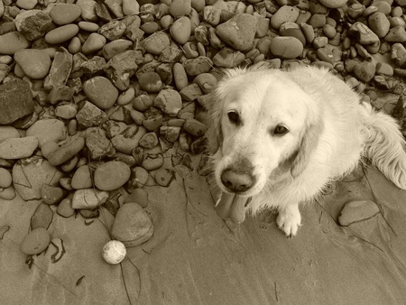 Entry image for OTTO. Clicking this image will show a larger photo