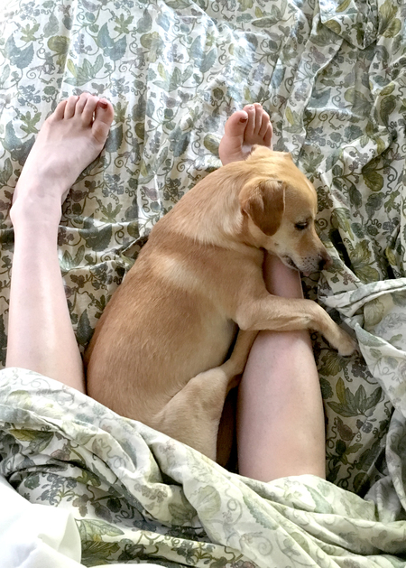 Entry image for Banjo. Clicking this image will show a larger photo