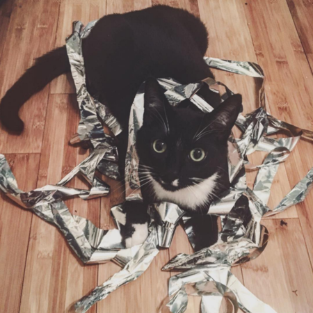 Entry image for Wilson . Clicking this image will show a larger photo