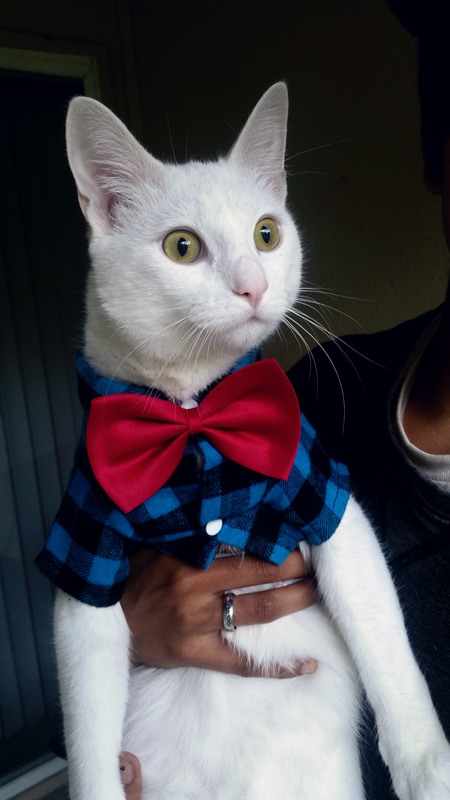 Entry image for Zeek Heisenberg. Clicking this image will show a larger photo