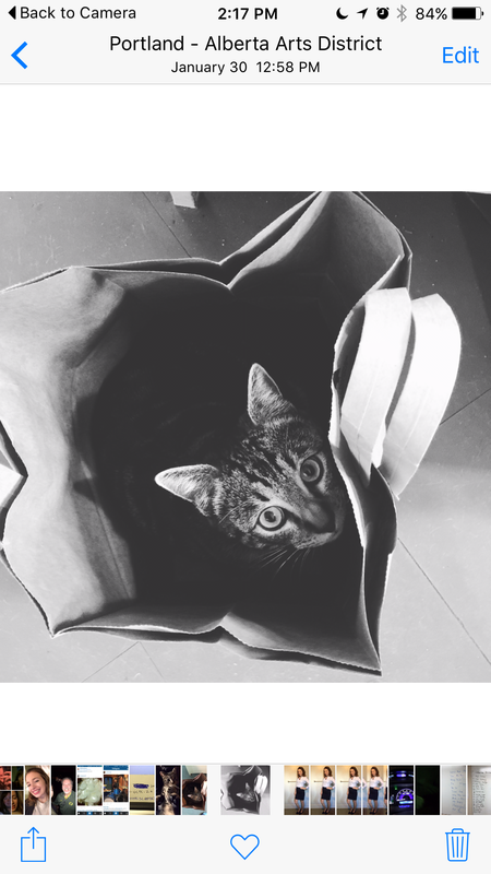 Entry image for Ted. Clicking this image will show a larger photo