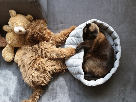 Entry image for Nora plus Nonami. Clicking this image will show a larger photo