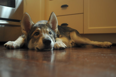 Entry image for Navarre. Clicking this image will show a larger photo