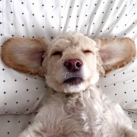 Entry image for George. Clicking this image will show a larger photo