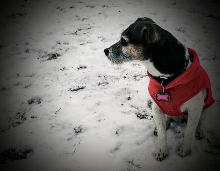 Entry image for Haylee. Clicking this image will show a larger photo