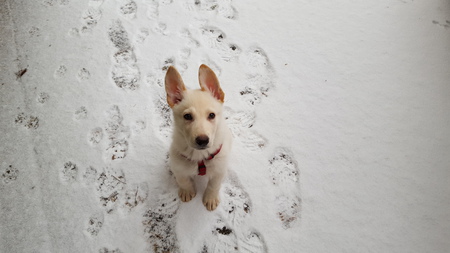 Entry image for Ustinov. Clicking this image will show a larger photo