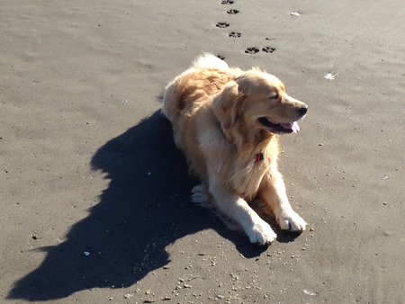 Entry image for Marsee. Clicking this image will show a larger photo