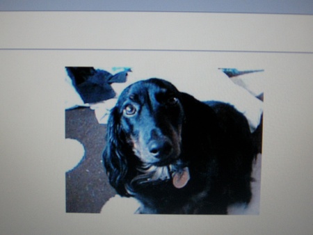 Entry image for Charley. Clicking this image will show a larger photo