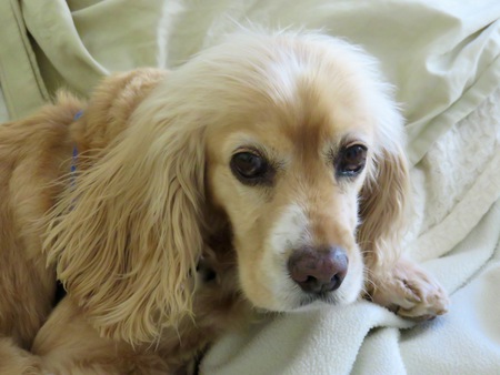 Entry image for Hanna. Clicking this image will show a larger photo