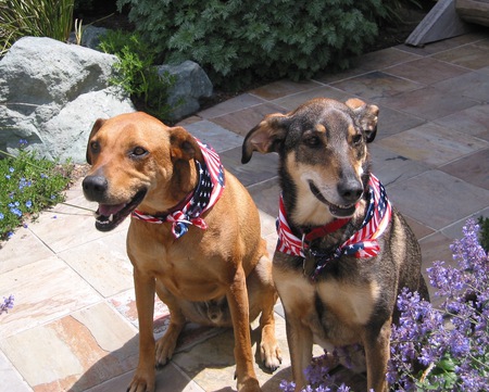 Entry image for Zach and Sarina. Clicking this image will show a larger photo