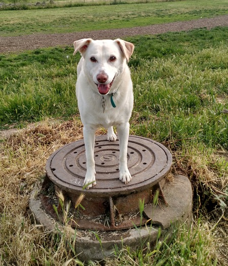 Entry image for Patrick . Clicking this image will show a larger photo