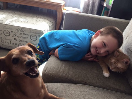 Entry image for Scotch (dog) Olaf (cat) adopted from OHS. Clicking this image will show a larger photo