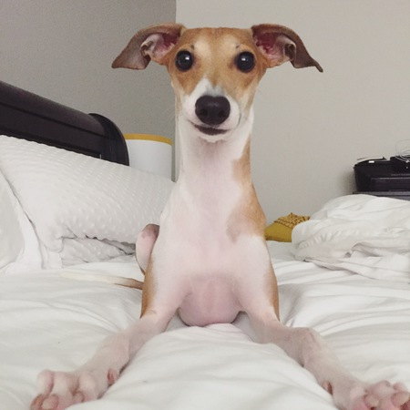 Entry image for Norah. Clicking this image will show a larger photo