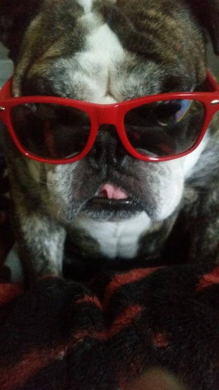 Entry image for OPI. Clicking this image will show a larger photo