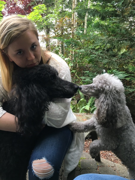 Entry image for Holly and Pilot. Clicking this image will show a larger photo