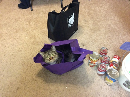 Entry image for Rudy. Clicking this image will show a larger photo