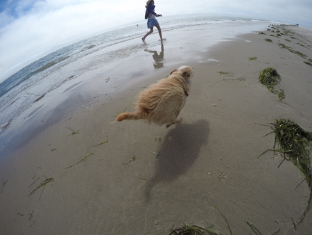 Entry image for Toby. Clicking this image will show a larger photo