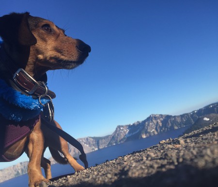 Entry image for Haddie Mae . Clicking this image will show a larger photo