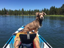 Entry image for Raffi. Clicking this image will show a larger photo