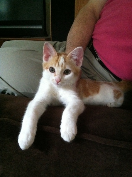 Entry image for Timex. Clicking this image will show a larger photo