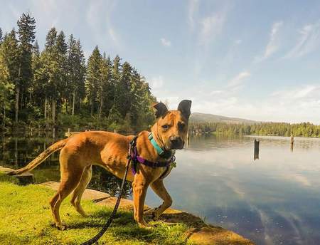 Entry image for Tandy Crouch. Clicking this image will show a larger photo